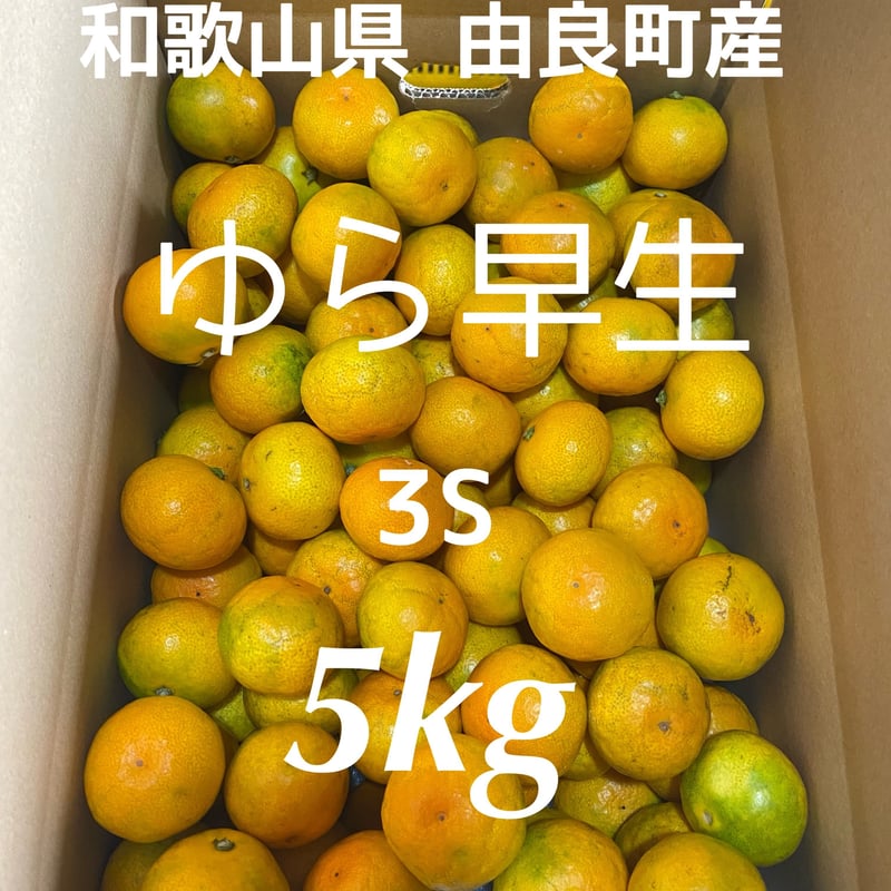 和歌山 由良産 ゆら早生 3S 5kg | 岸本農園
