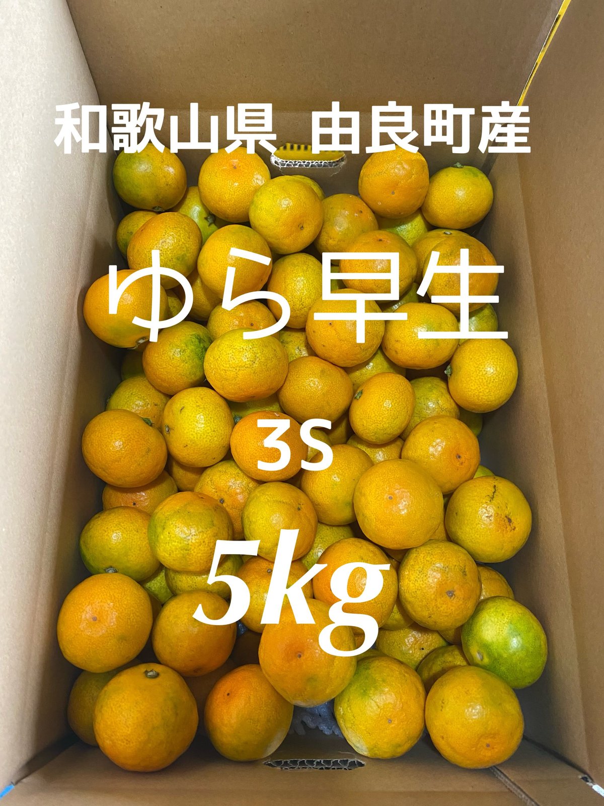和歌山 由良産 ゆら早生 3S 5kg | 岸本農園