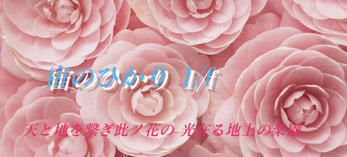 soranohikari's STORE