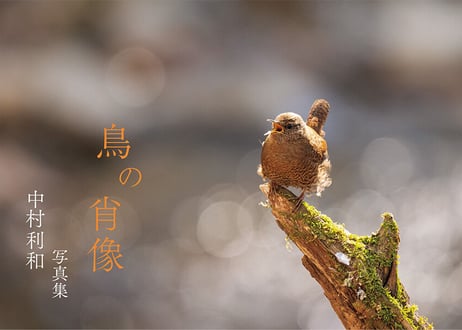 2nd写真集「鳥の肖像」