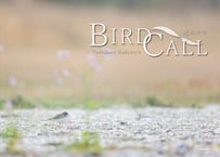 1st写真集「BIRD CALL」