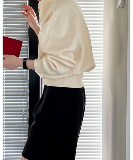 half zip short sweatshirt /3color　　IR1600