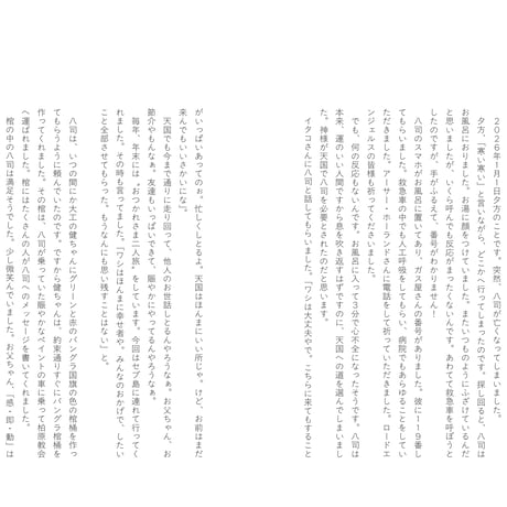 ボンクラ夫婦のバングラ日記