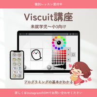 Viscuit講座　個別レッスン(まとめ割対象)