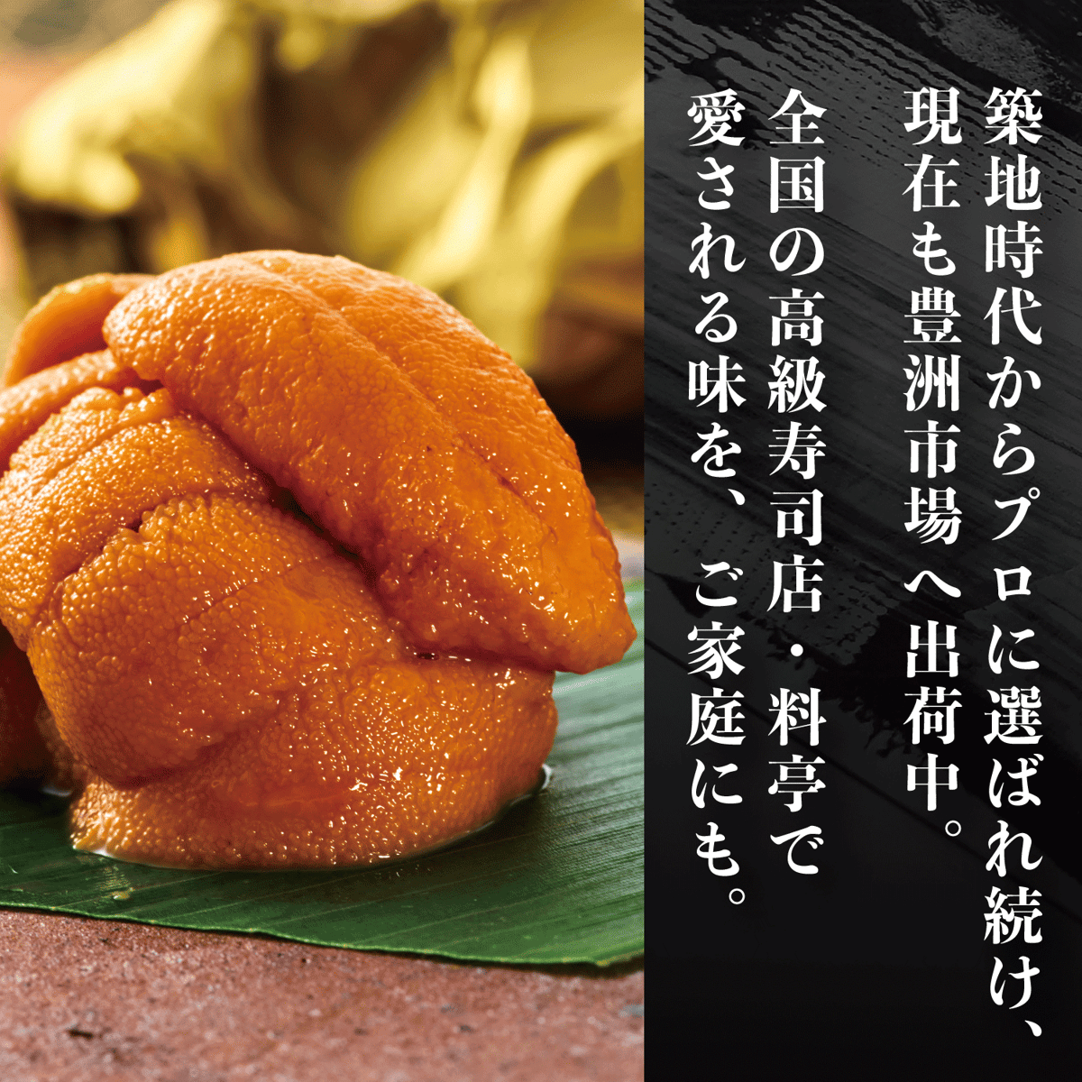 無添加】塩水パックエゾバフンウニ（黄色）100〜110g | 臣那商店