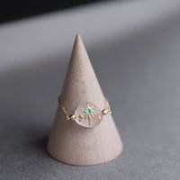 彼は誰星 |  Chain ring