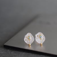 彼は誰星 | ピアス