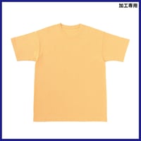GOAT 7オンス SHORT SLEEVE ETHICAL TEE 9210