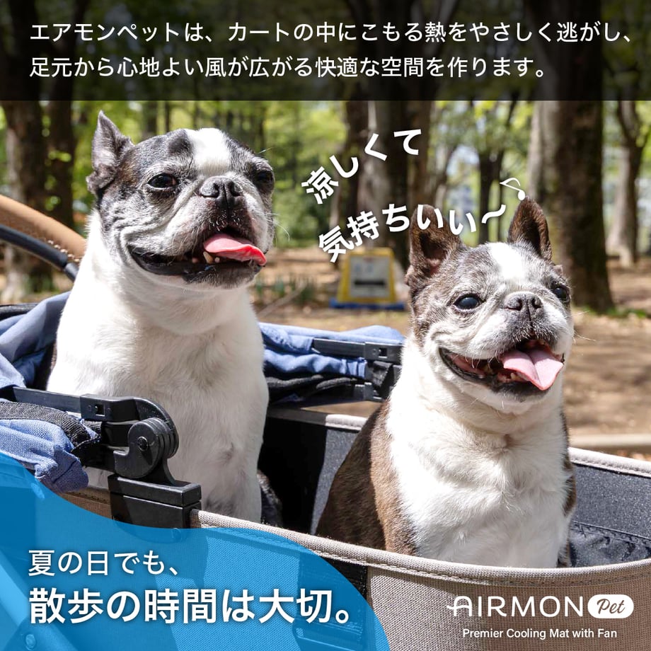 6874b379c82327004a5b3531