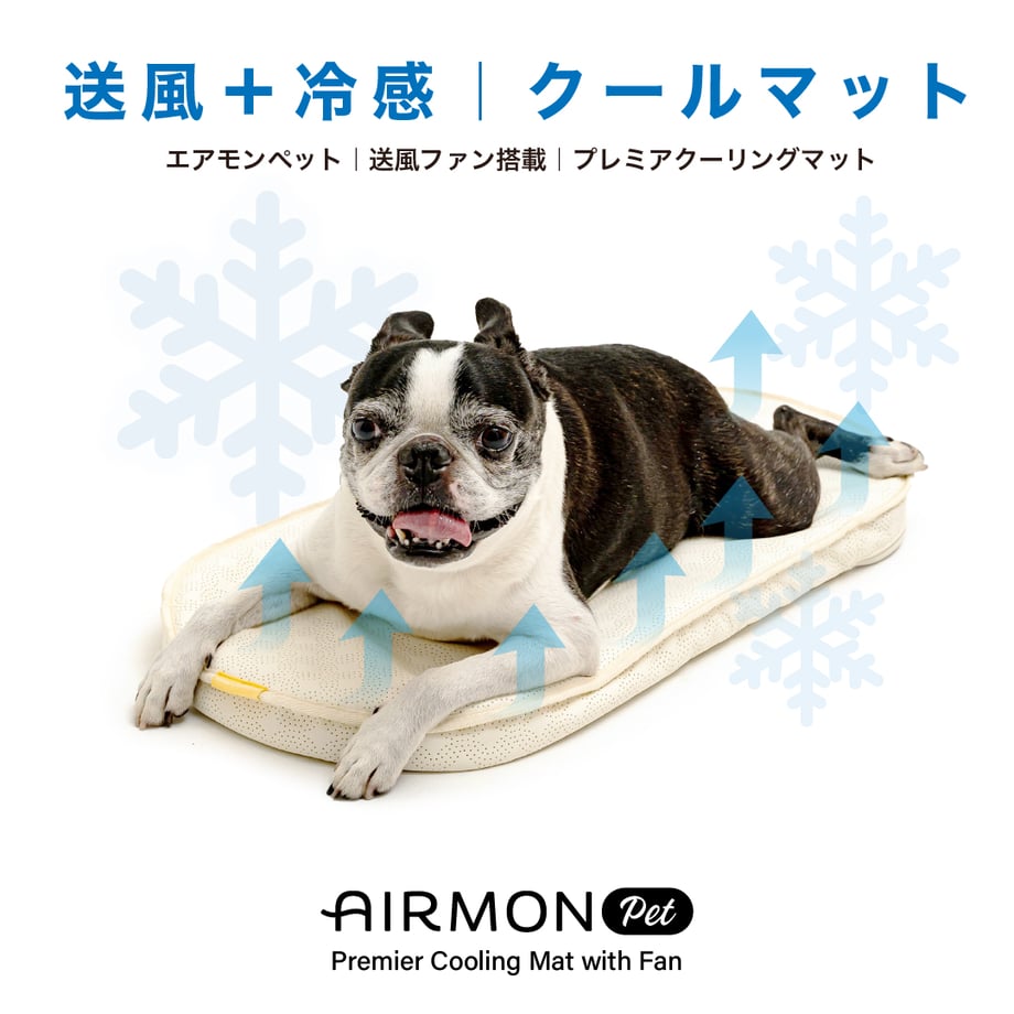 6874b379c82327004a5b3531