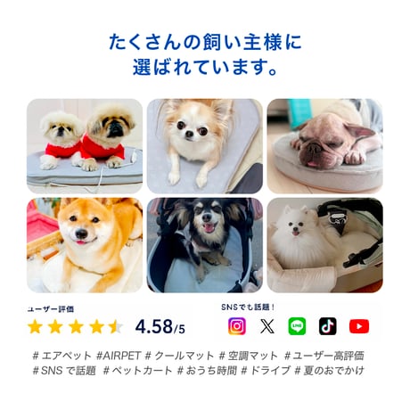 AIRPET｜エアペット｜プレミアム エアクーリングマット