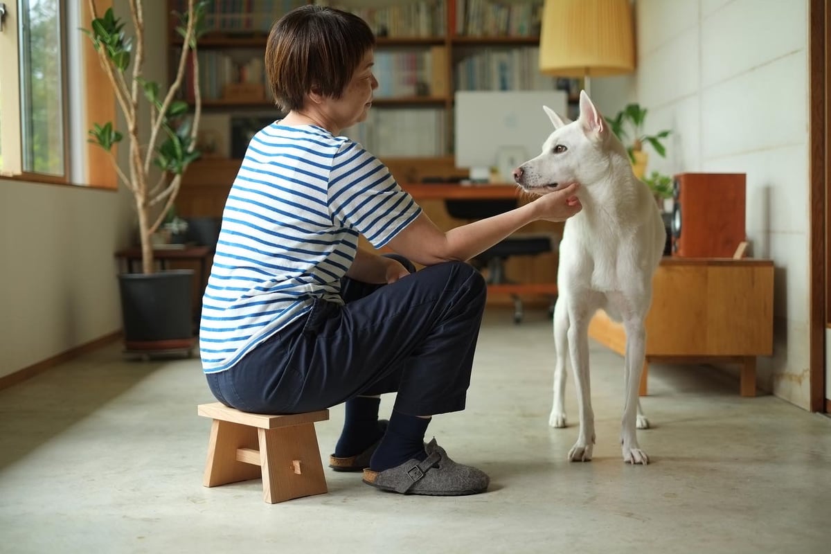 ちょこっとスツール | nine-furniture online store