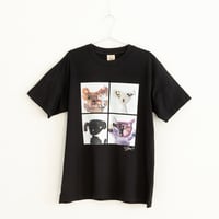 078 【長坂真護】Tシャツ「POPPY  LUDY  CHO-CHOCORI   Outstanding cat」（オーガニックコットン）