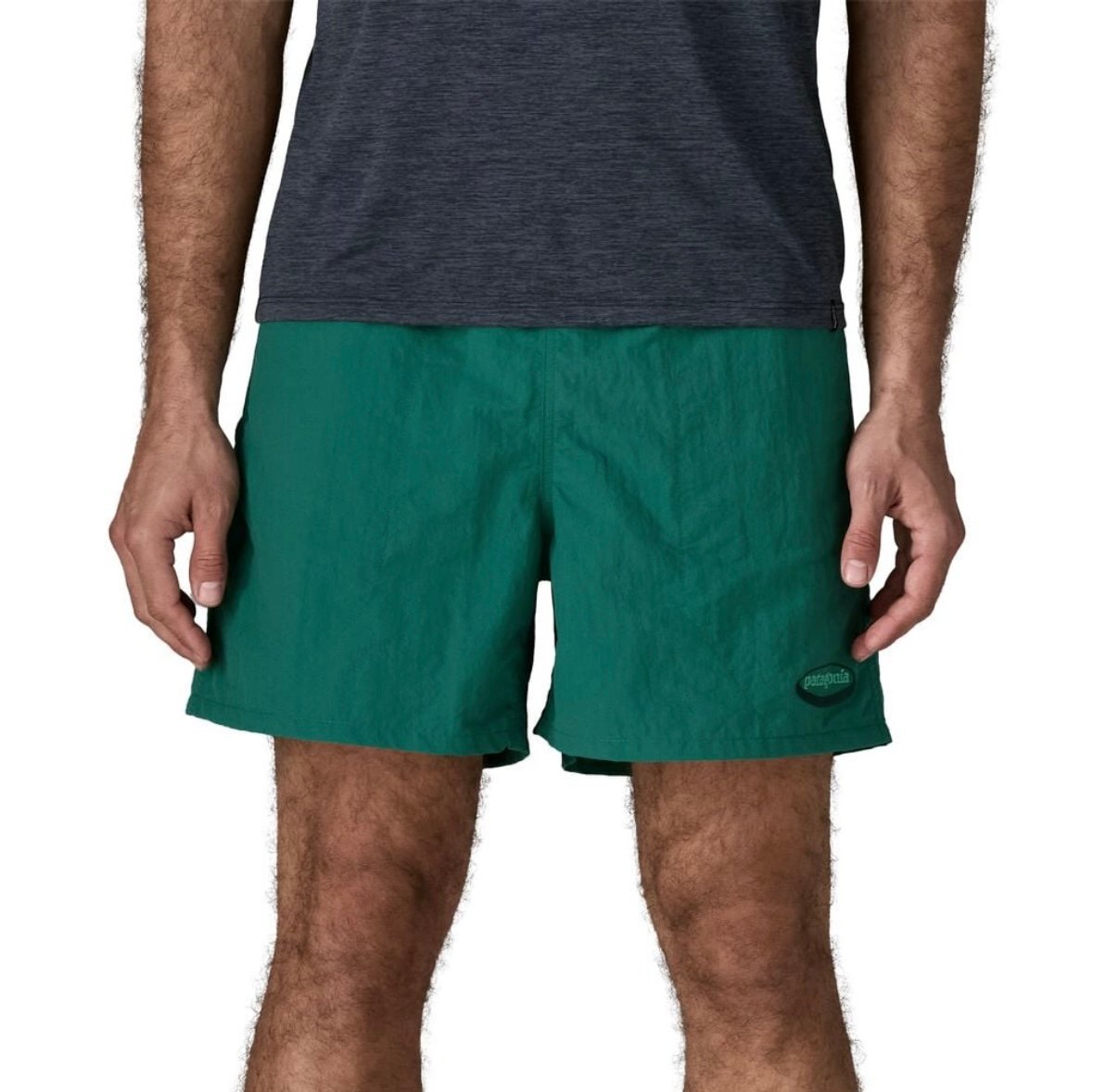 PATAGONIA / M's BAGGIES SHORTS 5inch ('95 OVAL