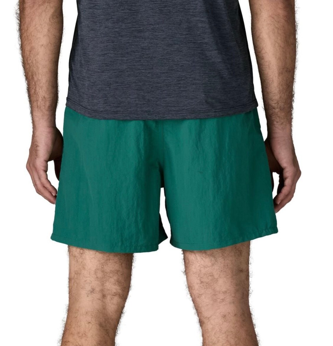 PATAGONIA / M's BAGGIES SHORTS 5inch ('95 OVAL