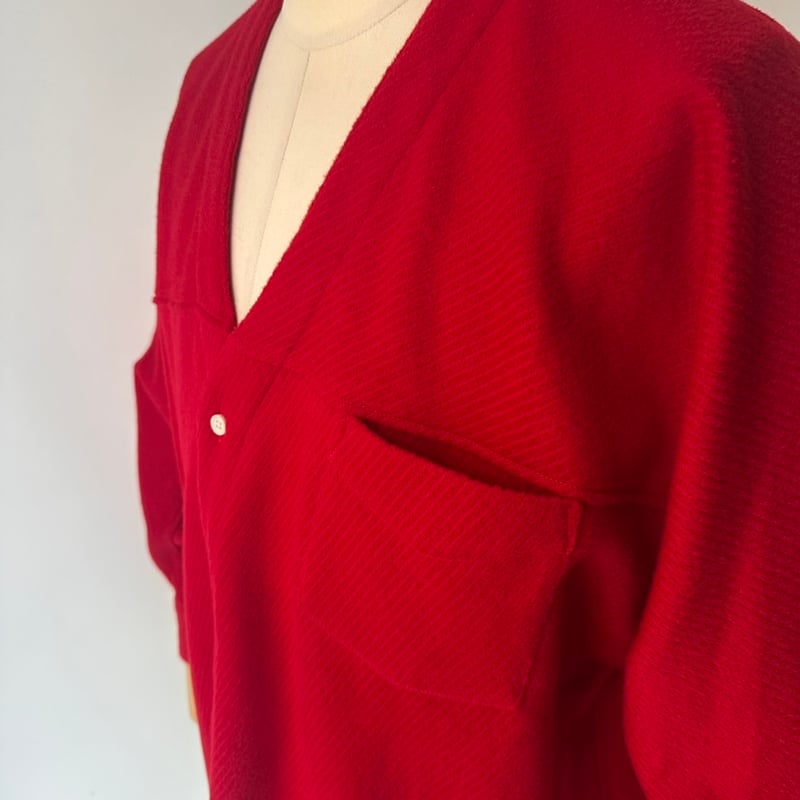 SUNNY ELEMENT / MUSEUM SHIRT FACING (RED) | weaver