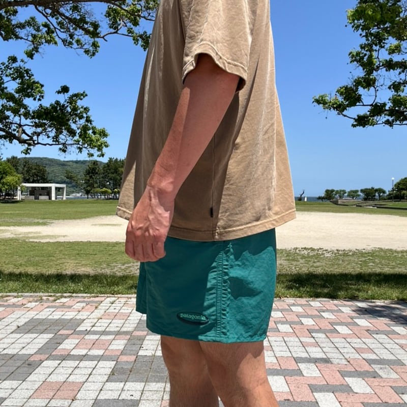 PATAGONIA / M's BAGGIES SHORTS 5inch ('95 OVAL