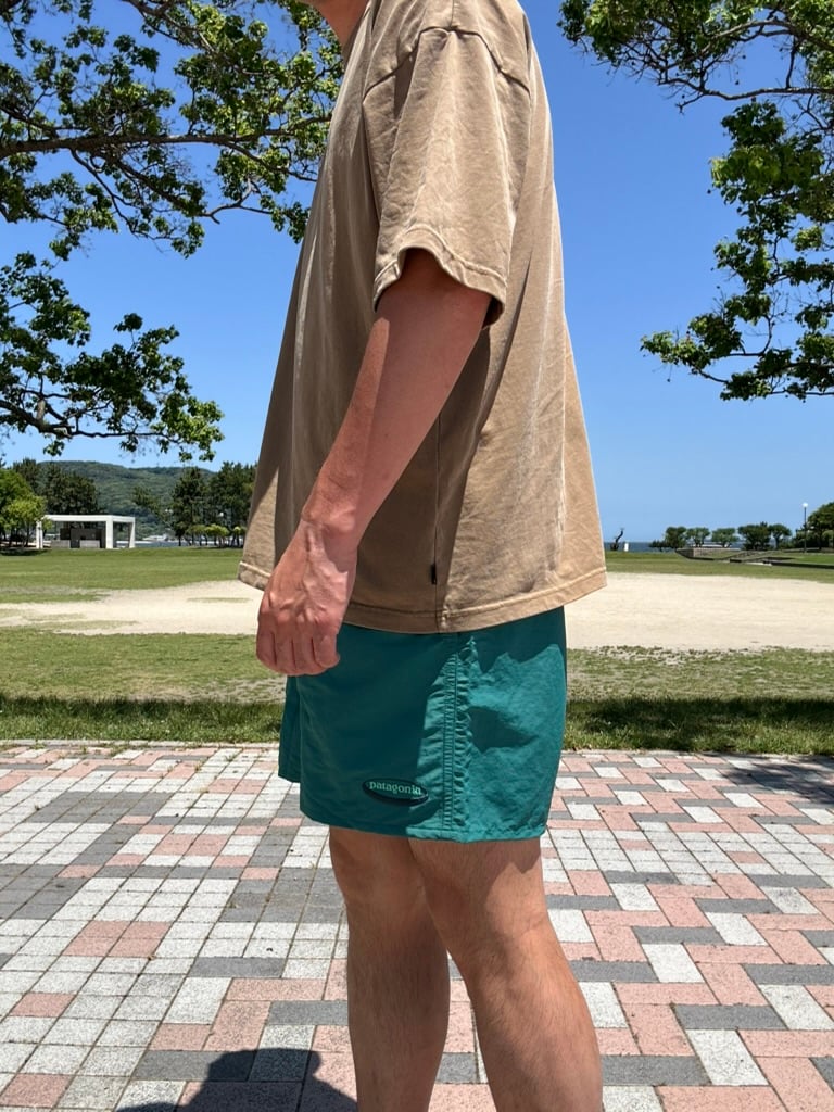 PATAGONIA / M's BAGGIES SHORTS 5inch ('95 OVAL