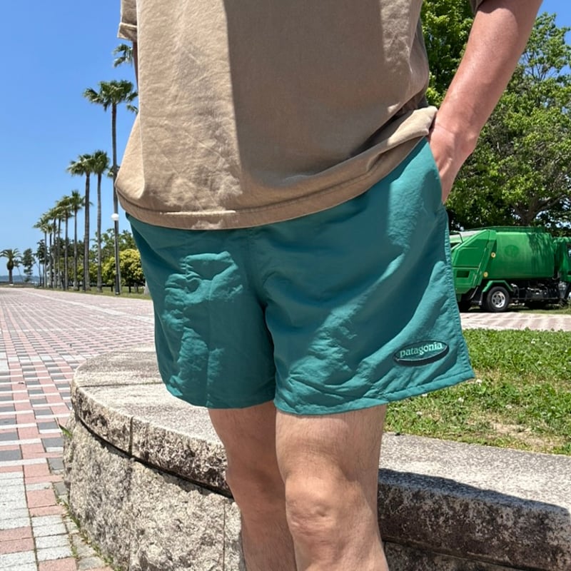 patagonia ショーツ 2001年 オーバル ロゴ PATAGONIA / M's BAGGIES SHORTS 5inch ('95 OVAL