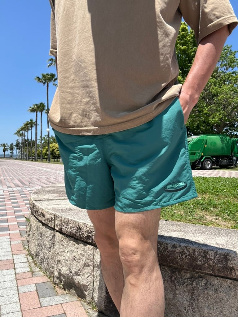 PATAGONIA / M's BAGGIES SHORTS 5inch ('95 OVAL