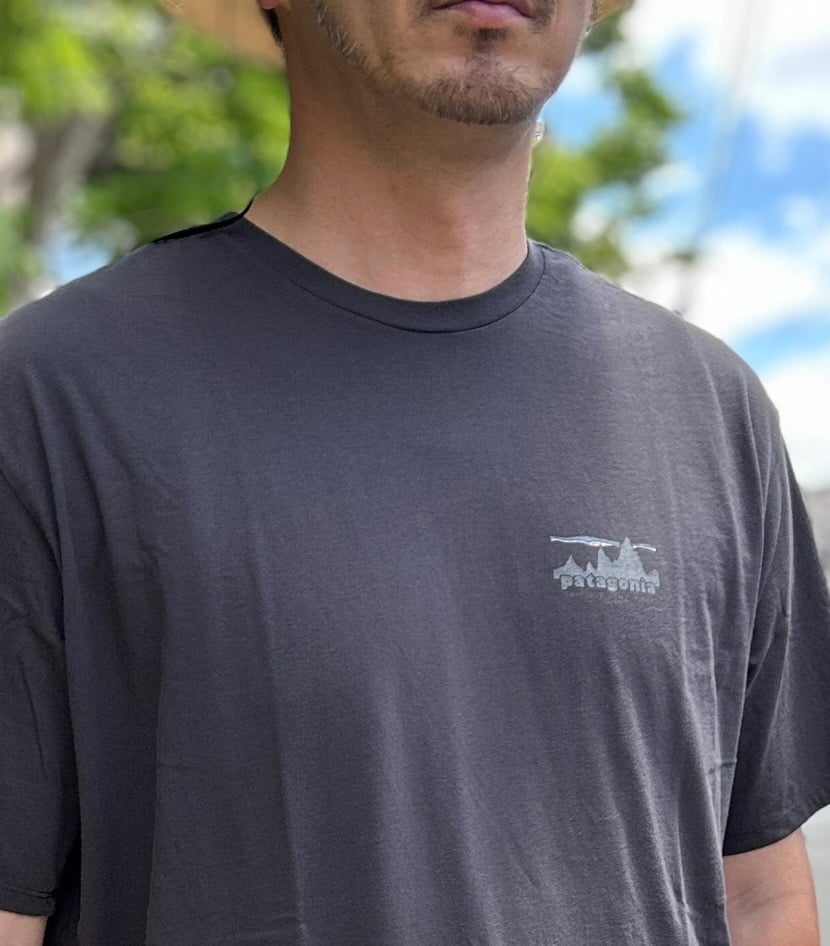 PATAGONIA / 73 SKYLINE ORGANIC T-SHIRT (INK BLA