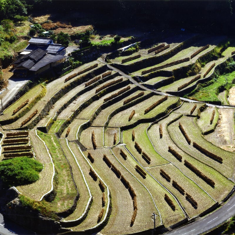 10kg】石木川の棚田米 [令和7年産 新米 長崎県東彼杵郡川棚町] | こう