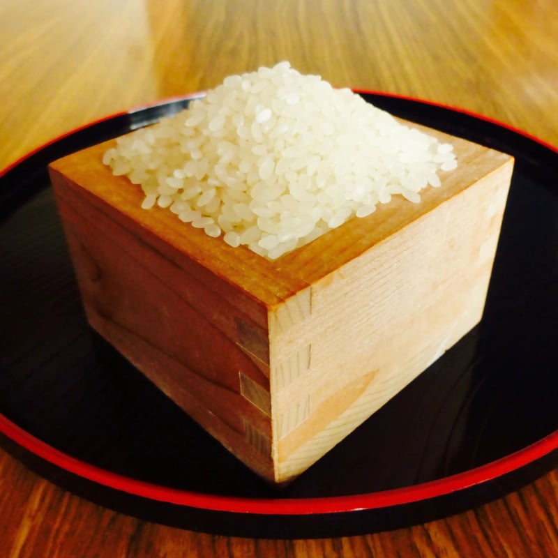 10kg】石木川の棚田米 [令和7年産 新米 長崎県東彼杵郡川棚町] | こう