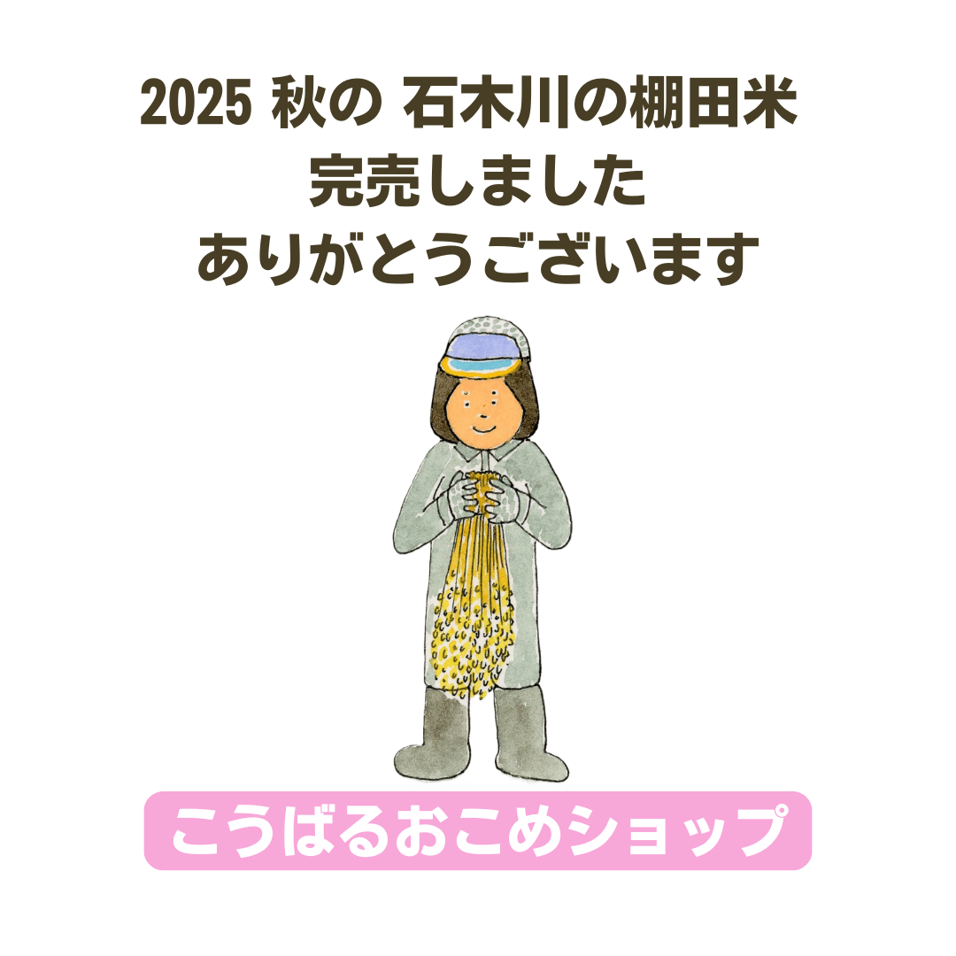 石木川の棚田米2025 秋