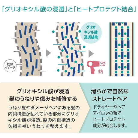 イカミエROシャンプー for HOMME