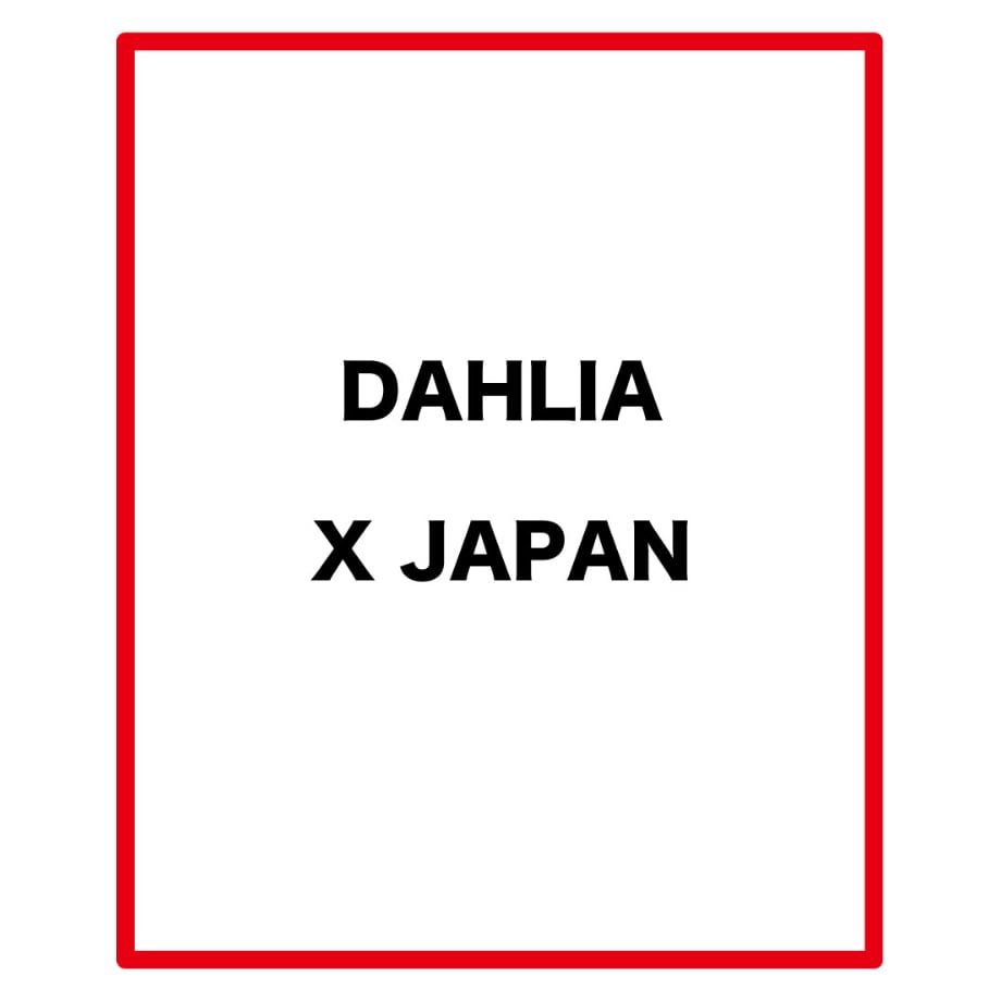 絶版 X JAPAN DAHLIA バンドスコア 楽譜 DAHLIA ギター ベース TAB 【 X Japan エックス 】 ダリア