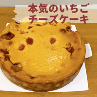 本気のいちごチーズケーキ
