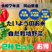 たいようのお米　＆　自然栽培野菜　2種セット