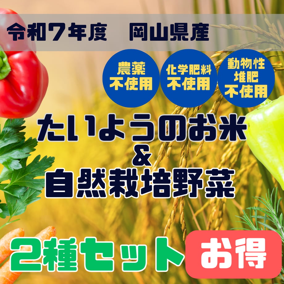 65c377d7a2eab20daa97c859