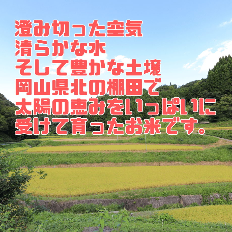 68c6ca1115680f3205775a14