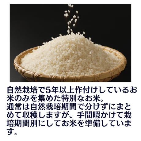 岡山県産　令和７年度産　在来種「朝日」　自然農法継続年数５年以上玄米　ひなた米