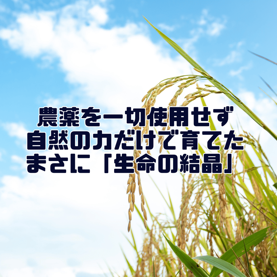 65c377d7a2eab20daa97c859