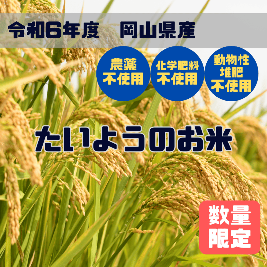 65c399939a028512021479a7