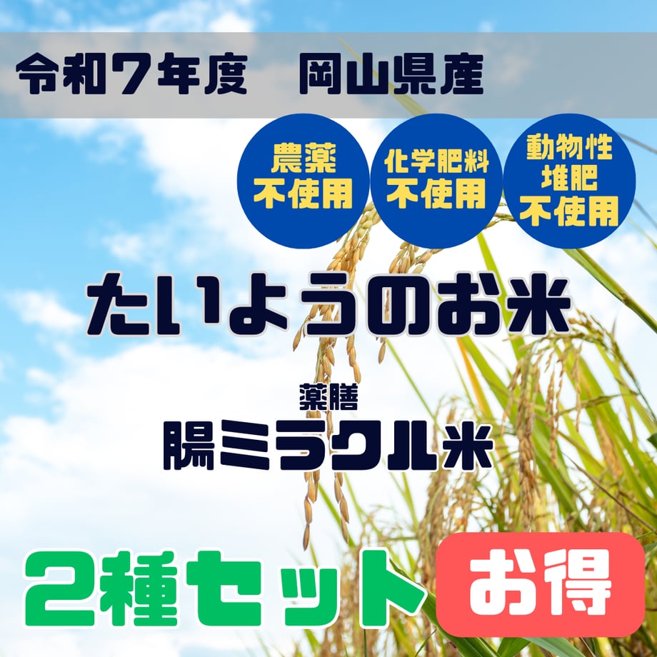 68c6ca1115680f3205775a14