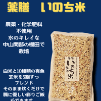 薬膳　いのち米 1kg