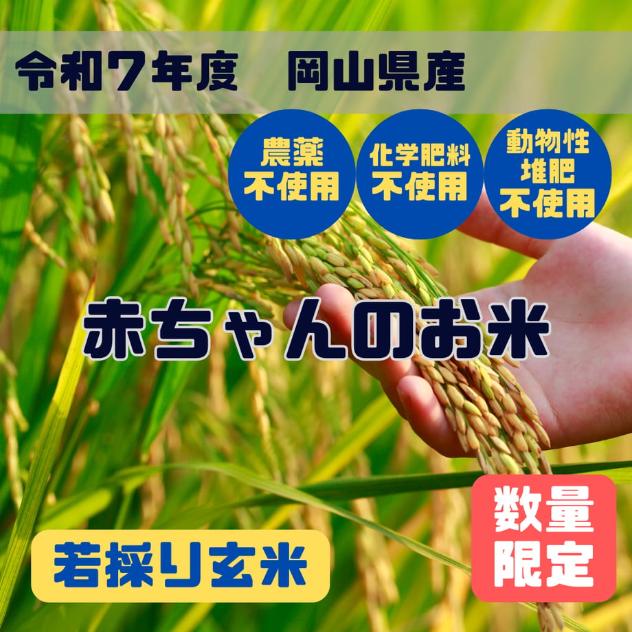 685167c4a3297d1671fbf65a