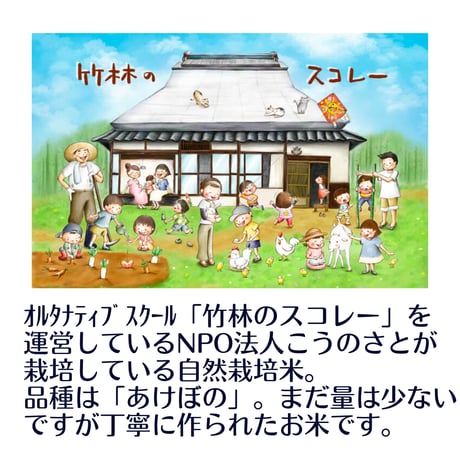令和7年度　岡山県産　さとっ子元氣米