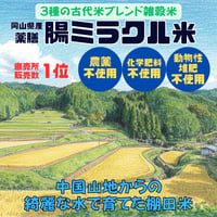 薬膳　腸ミラクル米　８４０ｇ