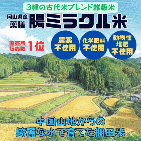 薬膳　腸ミラクル米　８４０ｇ