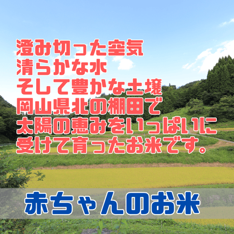 【定期購入】岡山県産 農薬不使用　自然栽培・棚田米　若採り玄米　令和7年度  20㎏