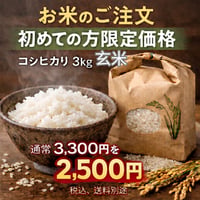 初回限定コシヒカリ3kg　玄米