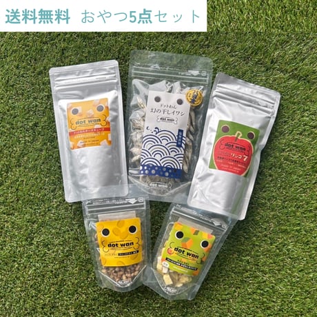 ドットわん | STORES