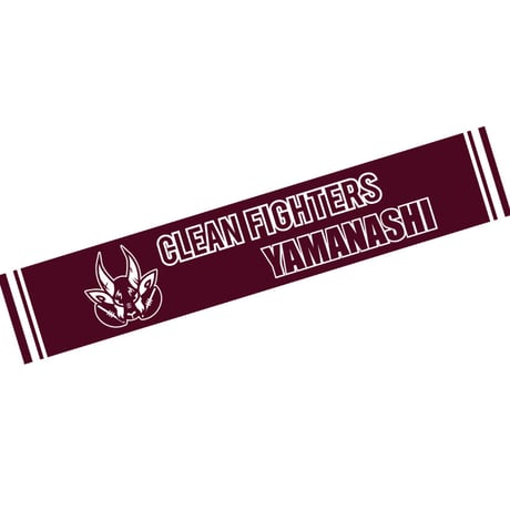 CLEAN FIGHTERS STORE