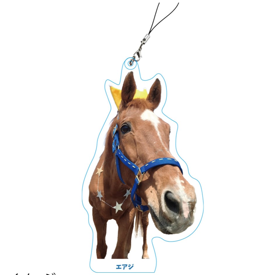 エアジbirthday⭐︎アクリルキーホルダー | エアジストア