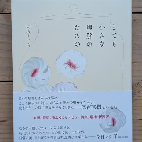 とても小さな理解のための