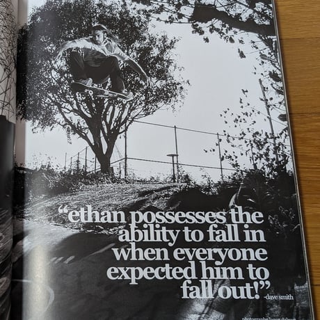 SKATEBOOK Lance Mountain